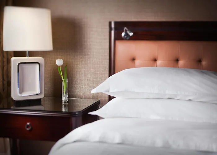 Hotel Sheraton Chicago O'hare