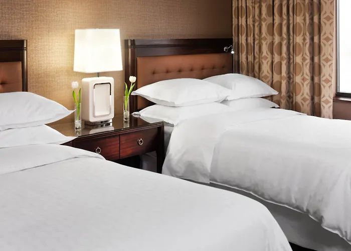 Sheraton Chicago O'hare Hotel Rosemont