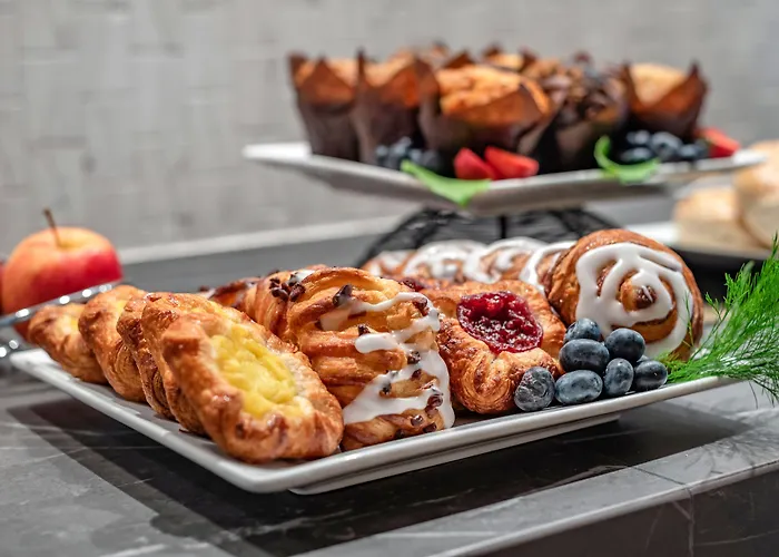 Sheraton Chicago O'hare Hotel 4*