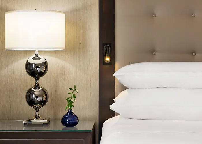 Sheraton Chicago O'hare Hotel 4*